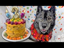 Turkey Feast Birthday Cake for Dogs 🦃  DIY Dog Treats | Thanksgiving for Dogs