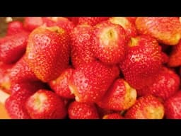 Strawberry Store Karne Ka Asaan Tarika\ How To Store Strawberry\ اسٹرابیری محفوظ کرنے کا آسان طریقہ