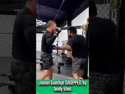 Justin Gaethje dropped by body shot in sparring