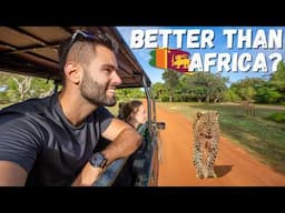 Sri Lankan VS African Safaris Which is WILDER?