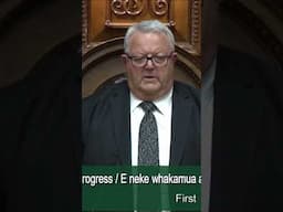 Haka interrupts vote for the Treaty Principles Bill | RNZ