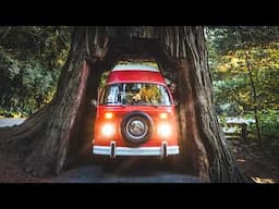 The Next Adventure For My Tesla Powered Classic VW Bus