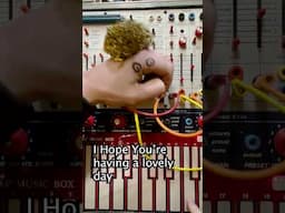 Dammit Simon.... #buchla #synthesizer #puppet #soundeffects #analog #simonthesynthnerdatitagain