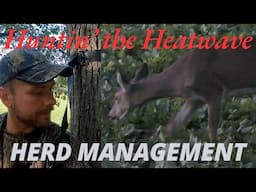 Doe Hunt In Crazy Heat Wave | Early October Doe Hunt