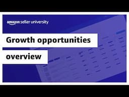 Growth Opportunities overview for selling on Amazon