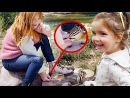 FEEDiNG WiLD ANiMALS at the CABiN!!  a Family Day in the Mountains! Baby Moose, Adley, Niko & Navey