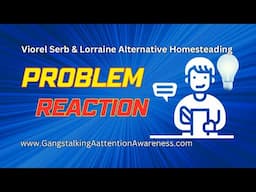 Viorel Serb & Lorraine Alternative Homesteading - Problem | Reaction (Part 2)