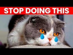 20 Things You Must Stop Doing to Your Cat