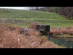 What to do about aging dams in Wisconsin's driftless area? | Here & Now