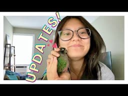 ANOTHER PARROT VLOG! | Updates! Merch? Giveaway?! Ava's Story