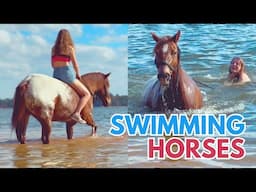 I Went Swimming with Horses!