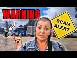 FAKE PARKING ATTENDANT TRIED TO SCAM US | VANLIFE SPAIN.