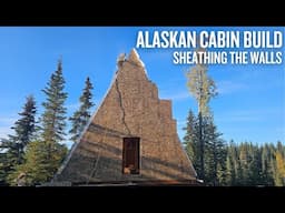 Off Grid Cabin Build | Sheathing the Exterior Walls