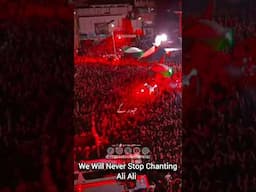 #we will never stop Chanting Ali Ali