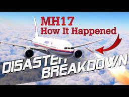 What Really Happened to MH17? - A Detailed Look At The Disaster That Stunned The World