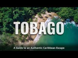 Travel Guide to Tobago | Ultimate Caribbean Holiday Destination