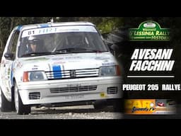 Rally Lessinia 2024 || Avesani-Facchini || Peugeot 205 Rallye