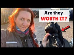 Heated Motorcycle Gloves Review - are they worth it?