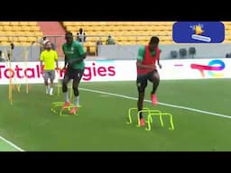 🎯Speed - Agility - Quickness Training Soccer (SAQ)