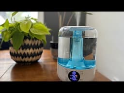 How To Use A Humidifier For Houseplants & HiLife Humidifier Review // Angels Grove Gardening