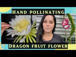 Dragon Fruit Flower Hand Pollination