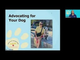 Advocating for your Therapy Dog