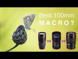 Best 100mm for your money? TT Artisan 100mm 2x Macro Review