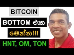 BITCOIN BOTTOM එක මෙන්න!!! | HNT, OM, TON