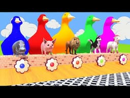 5 Giant Duck Cartoon, Cow, Giraffe, Elephant, Lion, Paint Wild Animals Crossing Fountain Animation