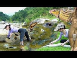 Huge wild fish nest - Beautiful girl survival and catches fish, bushcraft shelter skills