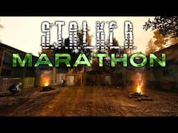 Survivalism in S.T.A.L.K.E.R.: Anomaly