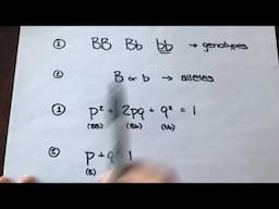 Hardy-Weinberg Equilibrium