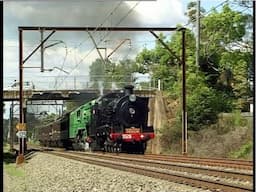 Steam locomotives 3526, 3801 & 3830 - Newcastle Flyer 75th Anniversary tour - November 2004