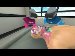 BioDigital VR: Gross Anatomy Lab