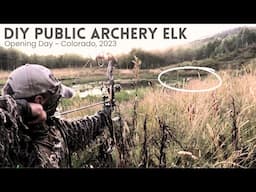 CO Archery Elk ~ Opening Day Success!!!