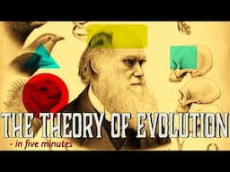 Evolution & the Evidence explained in 5 minutes