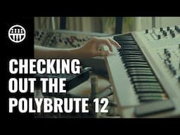 PolyBrute 12: First Look | Thomann