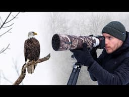 Snowstorm in Maine: Birds, Deer, and Fishers | wildlife vlog