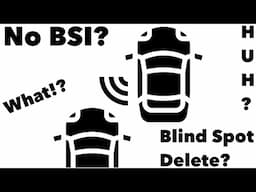 What is Blind Spot Delete? | What does BSI mean?