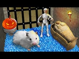 🎃 Halloween Hamster Maze with Traps ☠️ OBSTACLE COURSE