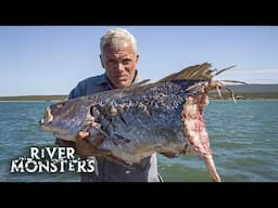 HORROR Stories about the SCARIEST River Monsters (Part 3)