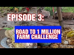 EPISODE 3: ROAD TO 1 MILLION FARM CHALLENGE #farming #farm #agriculture