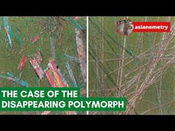 The Curious Case of the Disappearing Polymorph