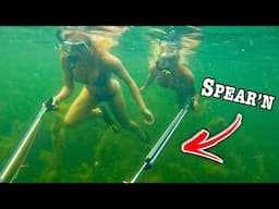 Underwater SPEAR FISHING Beneath Creepy Seaweed Infested DOCKS!!! (Fish Everywhere!!)