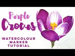 Purple Crocus painting // Winsor and Newton Watercolour marker tutorial