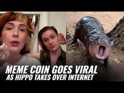 MOODENG Meme Coin Goes Viral As Hippo Takes Over The Internet