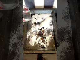 Why vinegar + bicarb soda can't clean a crusty oven tray. #CleaningHacks #KitchenTips  #Shorts