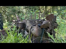 Hiking at Alafia River Corridor Nature Preserve