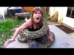 20 DEADLIEST Snake Encounters Caught On Camera