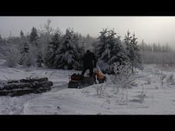 Hauling Logs to the Sawmill in Winter | Off Grid in Northern Canada